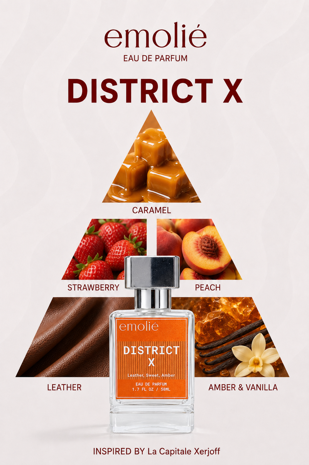 District X fragrance notes pyramid