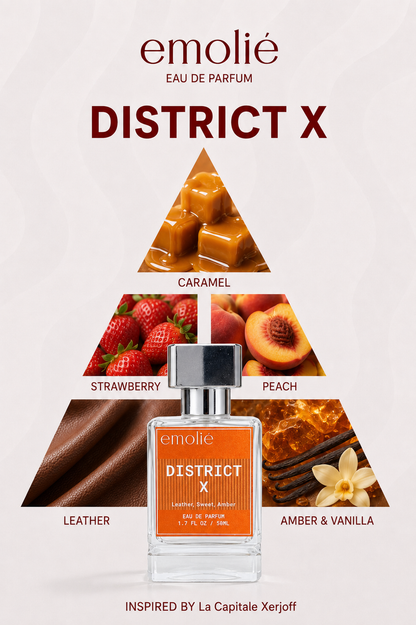 District X fragrance notes pyramid