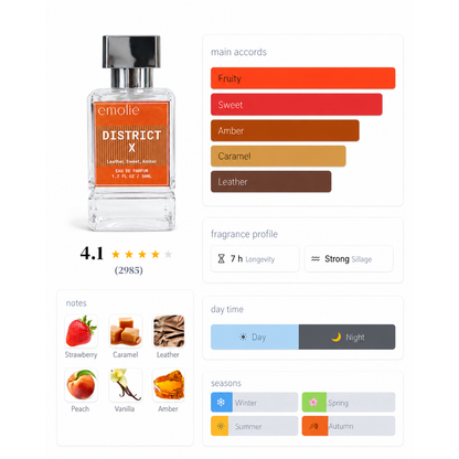 District X day and night fragrance profile