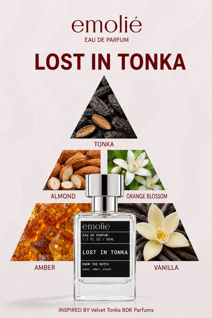 Lost in Tonka fragrance notes pyramid