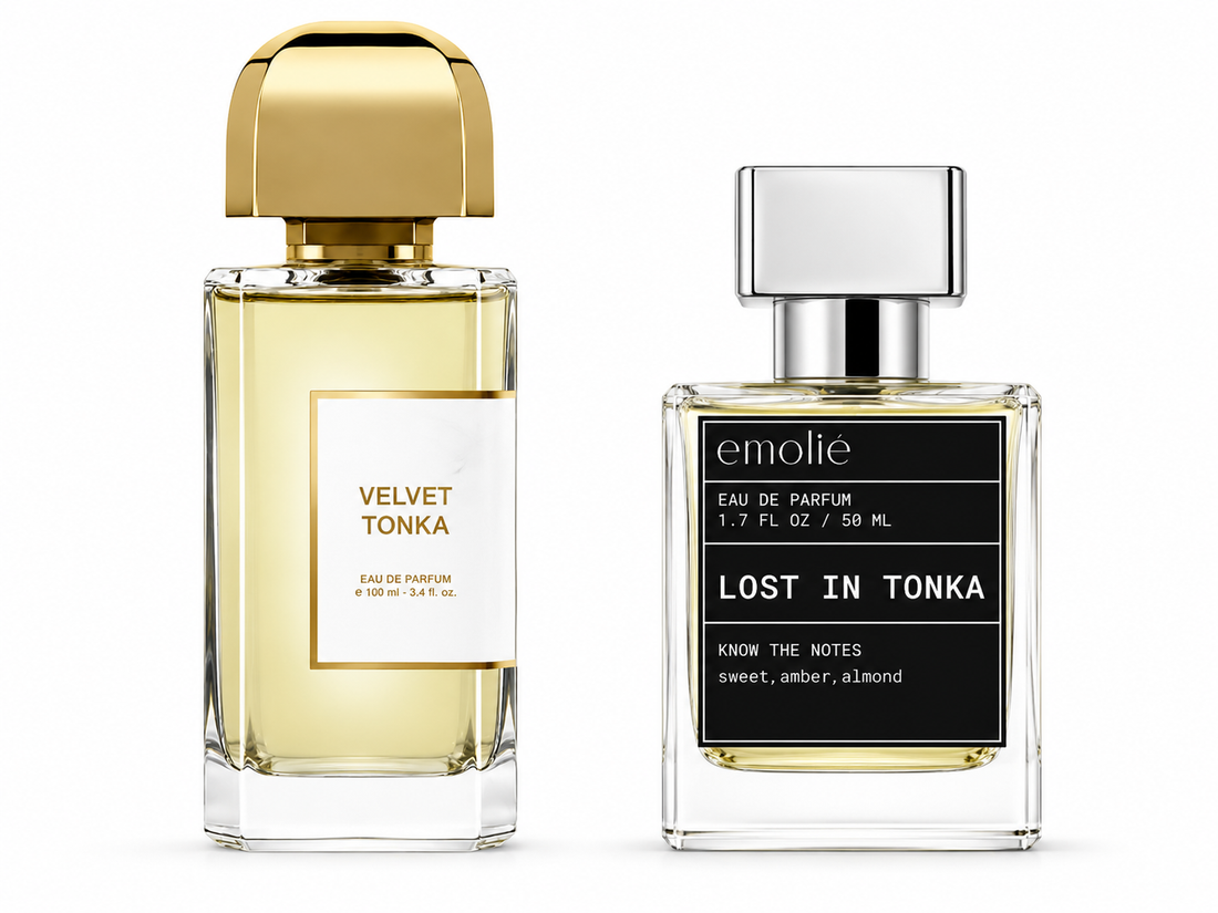 Lost in Tonka original fragrance comparison