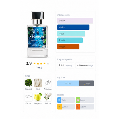 Megamare day and night fragrance profile