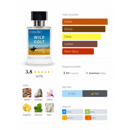 Wild Colt day and night fragrance profile
